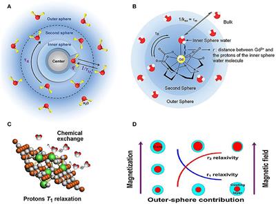 Recent Advances of Bioresponsive Nano-Sized Contrast Agents for Ultra-High-Field Magnetic Resonance Imaging